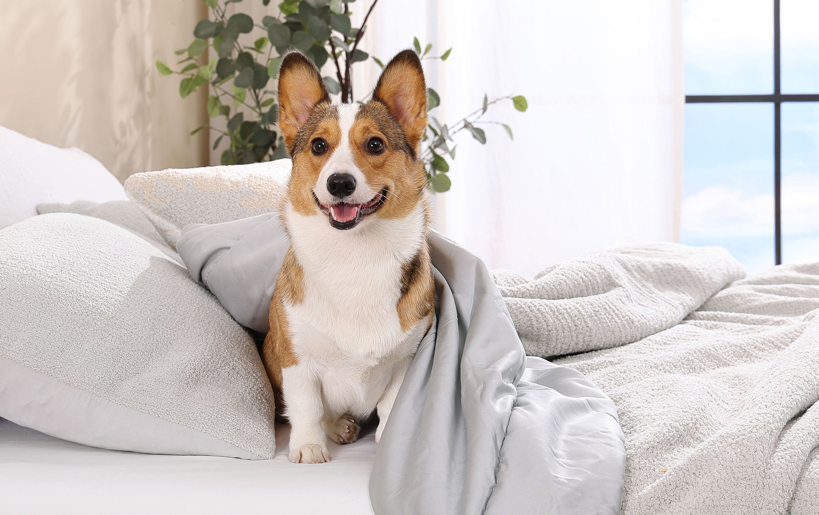 How to Beat the Heat: Tips for Using Cooling Comforters Effectively