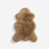 Rugs & Sofa Covers
