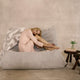 Furniture Dakota Two Seater Light Grey