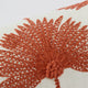 Palm_Leaf_Embroidered_Throw_Pillow_Sienna - Off White