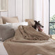 Snug Comforter Biscotti