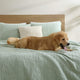 Snug + Bamboo Sham Set Sage
