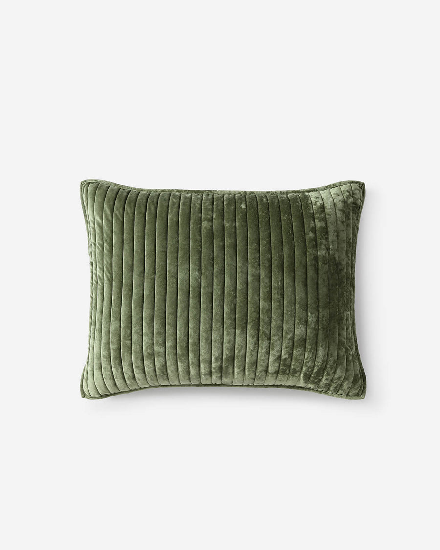 Image of Velvet Sham Set