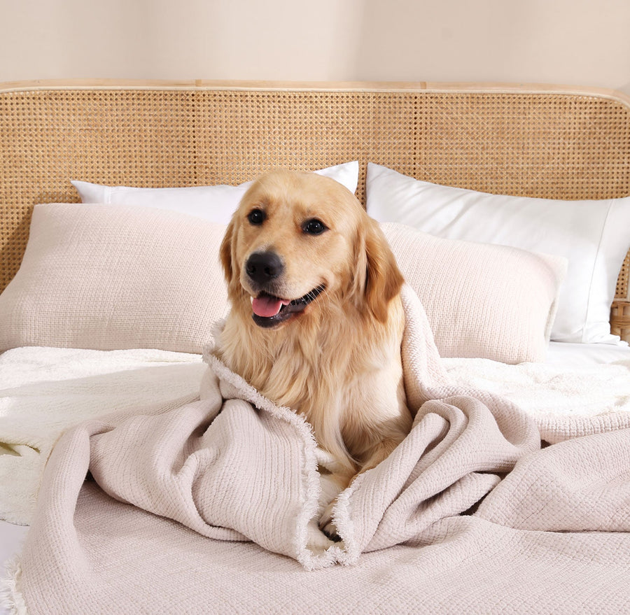 Muslin Cotton Quilt Latte