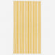 Sole Stripe Beach Blanket Ochre