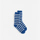 Sunday Citizen Coastal Americana Hoodie + Socks Bundle in Red - Blue - Off White