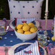 Sunday Citizen Coastal Americana Star Throw Pillow in Blue - White