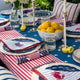 Sunday Citizen Coastal Americana Stripe Throw Pillow in Red - Off White