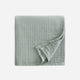 Sunday Citizen Muslin Beach Blanket in Jade