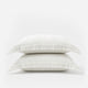 Salvia Cotton Mist Sham Set Light Sage - Off White